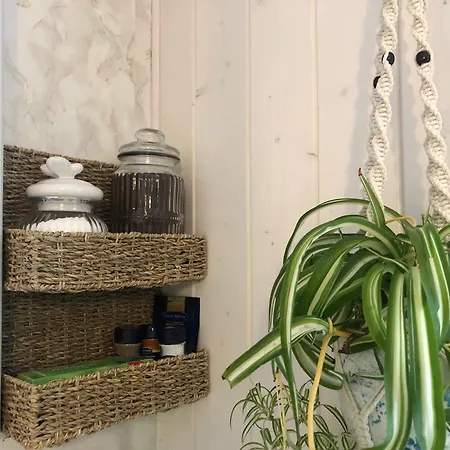 Harmonica Lejlighed Viljandi (Viljandimaa)