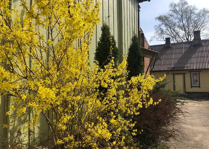 Harmonica * Viljandi (Viljandimaa)